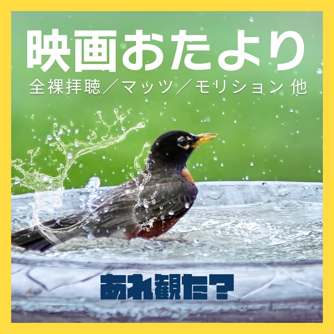 映画おたより┃夏だし服を着なきゃいけない理由もないよな