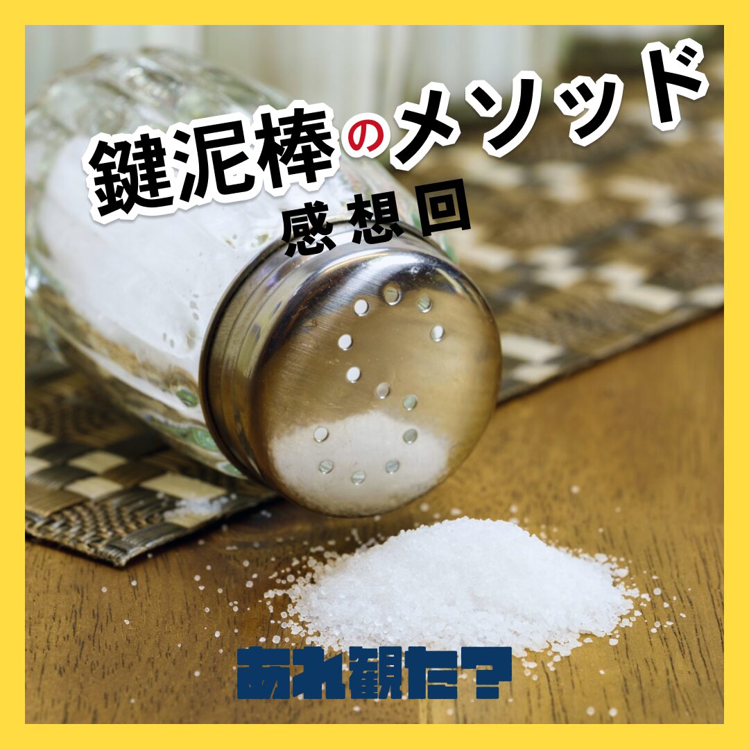 『鍵泥棒のメソッド』感想回┃舌打ちお姉さん、僕はあなたの味方です!!
