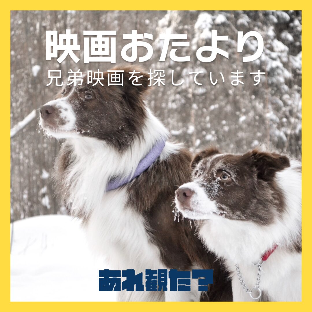 映画おたより┃ブラザーシップへの理解も家族の絆も強まります