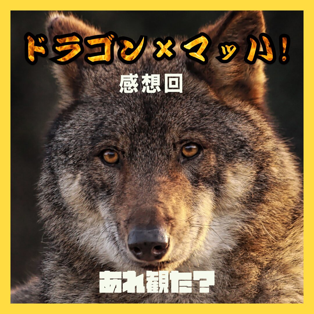『ドラゴン×マッハ!』感想回┃同僚叔父が2人も出てくるパワー系映画