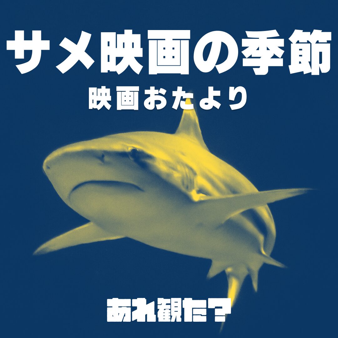 映画おたより┃サメは実は冬の季語【サメ映画】