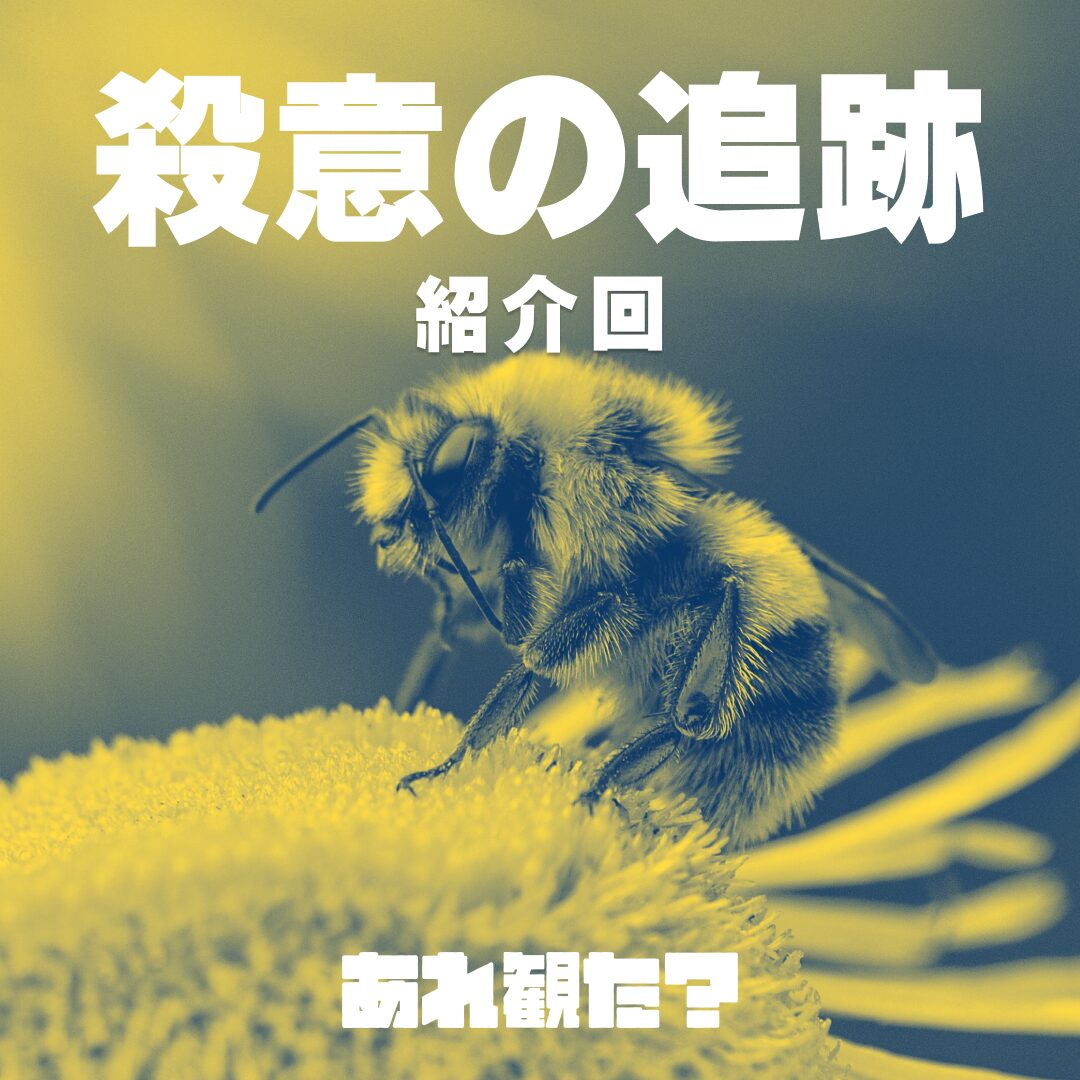 『殺意の追跡』紹介回┃よく知らないけど、こいつは嫌い。死んじゃえ。
